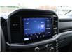 2025 Ford F-150 XLT (Stk: SC0223) in Cranbrook - Image 18 of 24