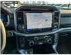2025 Ford F-150 XLT (Stk: 25AT1510) in Airdrie - Image 19 of 25