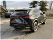 2022 Lexus NX 350h Base (Stk: 260177A) in Calgary - Image 3 of 19