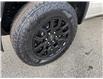 2026 Chevrolet Colorado Trail Boss (Stk: TT146693) in Caledonia - Image 10 of 67