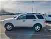 2011 Ford Escape XLT Automatic (Stk: TS529B) in Blenheim - Image 3 of 10