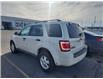 2011 Ford Escape XLT Automatic (Stk: TS529B) in Blenheim - Image 4 of 10