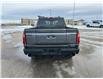 2025 Ford F-150 Tremor (Stk: S29893) in Hague - Image 8 of 15