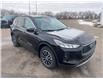 2025 Ford Escape PHEV (Stk: S66663) in Hague - Image 3 of 16