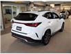 2024 Lexus NX 350 Base (Stk: PL25080) in Kingston - Image 8 of 15
