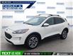 2020 Ford Escape SEL (Stk: P1375B) in Dartmouth - Image 1 of 24