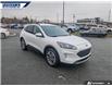2020 Ford Escape SEL (Stk: P1375B) in Dartmouth - Image 24 of 24