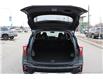 2024 Kia Seltos EX (Stk: SC0237) in Cranbrook - Image 5 of 29 2024 Kia Seltos EX (Stk: SC0237) in Cranbrook - Image 5 of 29
