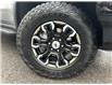 2023 Chevrolet Silverado 1500 ZR2 (Stk: 251500) in Ottawa Central - Image 28 of 30