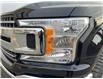 2020 Ford F-150 XLT (Stk: 25P167) in Kamloops - Image 8 of 25