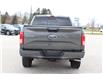 2017 Ford F-150 XLT (Stk: LT258A) in Harrow - Image 6 of 12