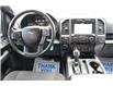 2017 Ford F-150 XLT (Stk: LT258A) in Harrow - Image 10 of 12