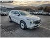 2023 Hyundai Santa Fe Ultimate Calligraphy (Stk: TS346A) in Kamloops - Image 7 of 35