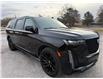 2022 Cadillac Escalade ESV Sport Platinum (Stk: 16084) in Newmarket - Image 24 of 50