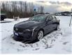 2025 Cadillac CT4 Luxury (Stk: 26215A) in Port Hope - Image 3 of 16