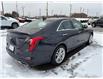 2025 Cadillac CT4 Luxury (Stk: 26215A) in Port Hope - Image 7 of 16