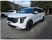 2026 Kia Carnival EX (Stk: 55229) in Castlegar - Image 2 of 14