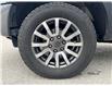 2021 Ford Ranger XLT (Stk: 1FTER4) in Newmarket - Image 6 of 7