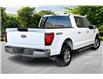 2025 Ford F-150 XLT (Stk: P6698) in Vancouver - Image 13 of 35