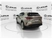 2026 Lexus NX 350  (Stk: 14111078) in Markham - Image 6 of 14