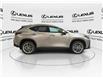 2026 Lexus NX 350  (Stk: 14111078) in Markham - Image 9 of 14