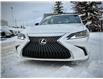 2019 Lexus ES 350 Premium (Stk: 260129A) in Calgary - Image 4 of 19