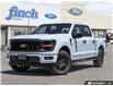 2025 Ford F-150 STX (Stk: XFP094) in Sarnia - Image 1 of 24
