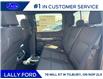 2025 Ford F-150 XLT (Stk: LFFF00893) in Tilbury - Image 15 of 15