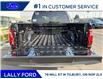 2025 Ford F-150 STX (Stk: LFFF01282) in Tilbury - Image 5 of 15