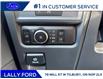 2025 Ford F-150 STX (Stk: LFFF01282) in Tilbury - Image 9 of 15