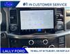 2025 Ford F-150 Platinum (Stk: LFFF01332) in Tilbury - Image 13 of 15