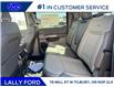 2025 Ford F-150 Platinum (Stk: LFFF01332) in Tilbury - Image 15 of 15