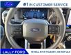 2025 Ford F-150 STX (Stk: LFFF01334) in Tilbury - Image 11 of 15