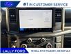 2025 Ford F-150 STX (Stk: LFFF01334) in Tilbury - Image 13 of 15