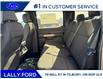 2025 Ford F-150 STX (Stk: LFFF01334) in Tilbury - Image 15 of 15