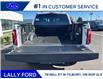 2025 Ford F-150 Lariat (Stk: LFFF01260) in Tilbury - Image 5 of 15