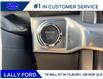2025 Ford F-150 Lariat (Stk: LFFF01260) in Tilbury - Image 12 of 15