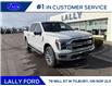 2025 Ford F-150 Lariat (Stk: LFFF01381) in Tilbury - Image 1 of 15