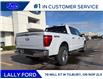 2025 Ford F-150 Lariat (Stk: LFFF01381) in Tilbury - Image 3 of 15