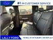 2025 Ford F-150 Lariat (Stk: LFFF01381) in Tilbury - Image 15 of 15