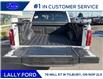 2025 Ford F-150 Platinum (Stk: LFFF01370) in Tilbury - Image 5 of 15