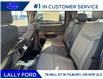 2025 Ford F-150 Platinum (Stk: LFFF01370) in Tilbury - Image 15 of 15