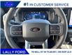 2025 Ford F-150 XLT (Stk: LFFF01360) in Tilbury - Image 11 of 15