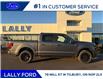 2025 Ford F-150 STX (Stk: LFFF01403) in Tilbury - Image 2 of 16