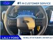 2025 Ford F-150 STX (Stk: LFFF01403) in Tilbury - Image 11 of 16