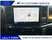 2025 Ford F-150 STX (Stk: LFFF01403) in Tilbury - Image 13 of 16