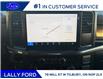 2025 Ford F-150 STX (Stk: LFFF01403) in Tilbury - Image 14 of 16