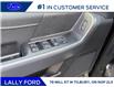 2025 Ford F-150 XLT (Stk: LFFF01375) in Tilbury - Image 6 of 15
