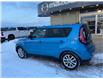 2019 Kia Soul EX (Stk: 24664) in Pembroke - Image 17 of 28