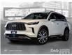 2023 Infiniti QX60 Sensory w/o Tow (Stk: NP16285) in Toronto - Image 1 of 30